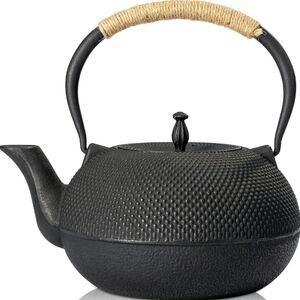 Elegant Black Cast Iron Teapot